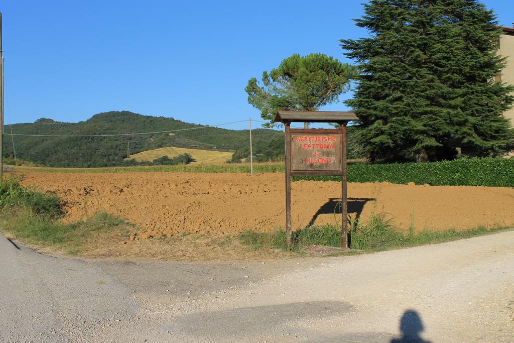 Fattoria Di Rigone Villa Coltavolino Exteriör bild