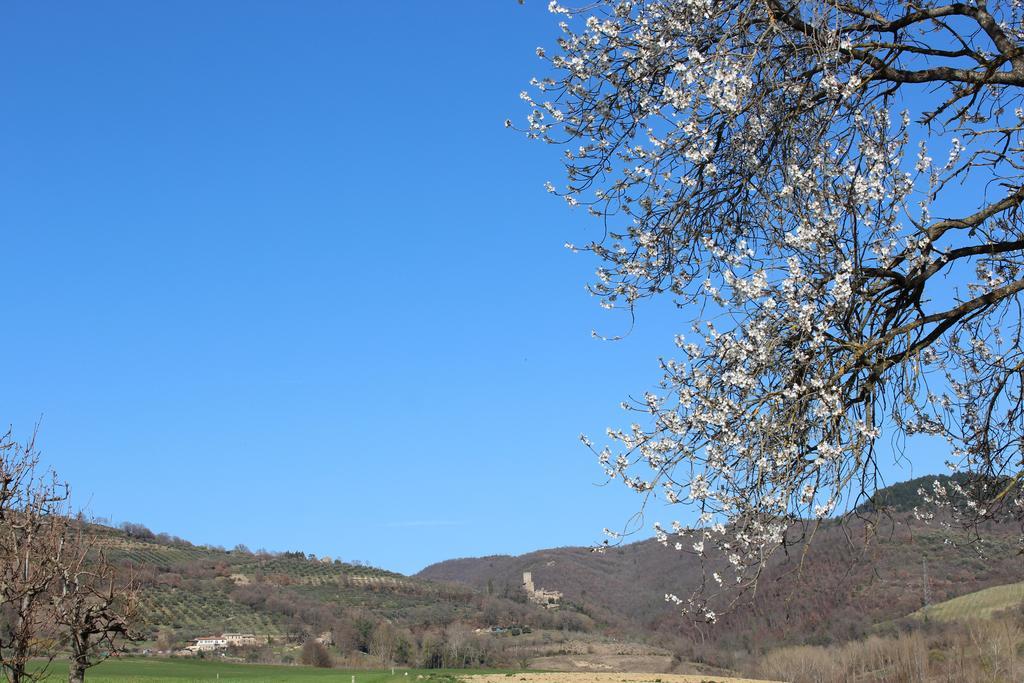 Fattoria Di Rigone Villa Coltavolino Exteriör bild