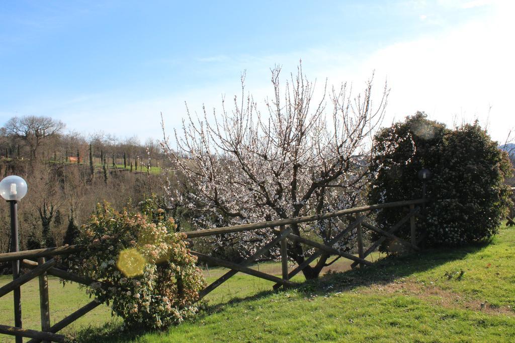 Fattoria Di Rigone Villa Coltavolino Exteriör bild