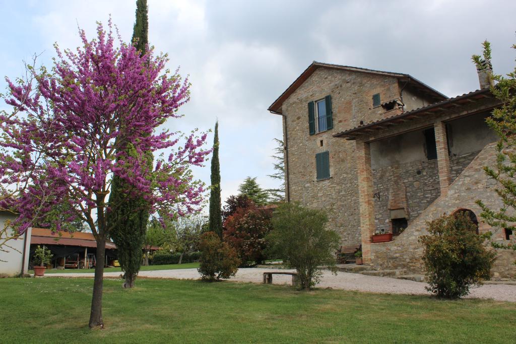 Fattoria Di Rigone Villa Coltavolino Exteriör bild
