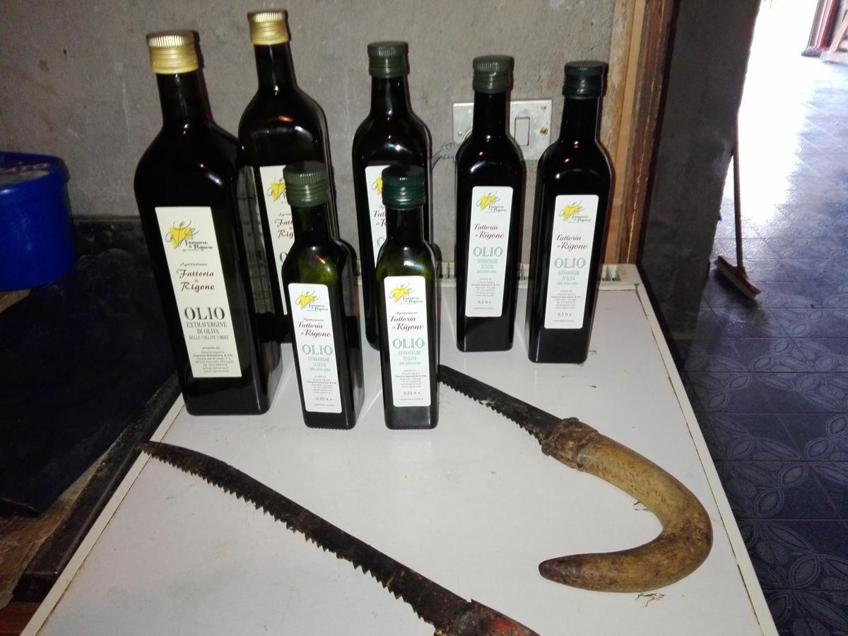 Fattoria Di Rigone Villa Coltavolino Exteriör bild